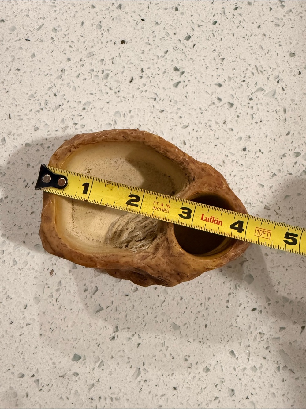 Natural Brown Resin Bowl for Bearded dragon food